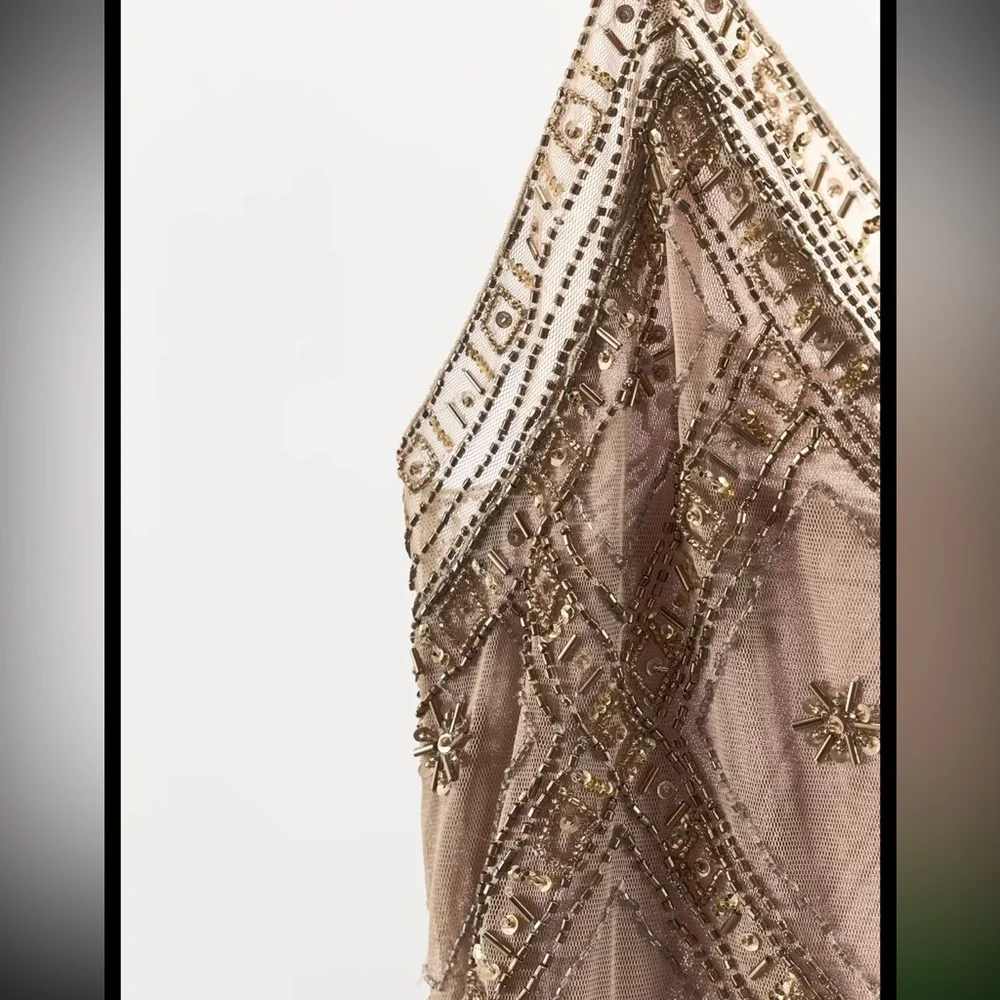 Zara limited edition EMBROIDERED TULLE Mini DRESS - Picture 8 of 15